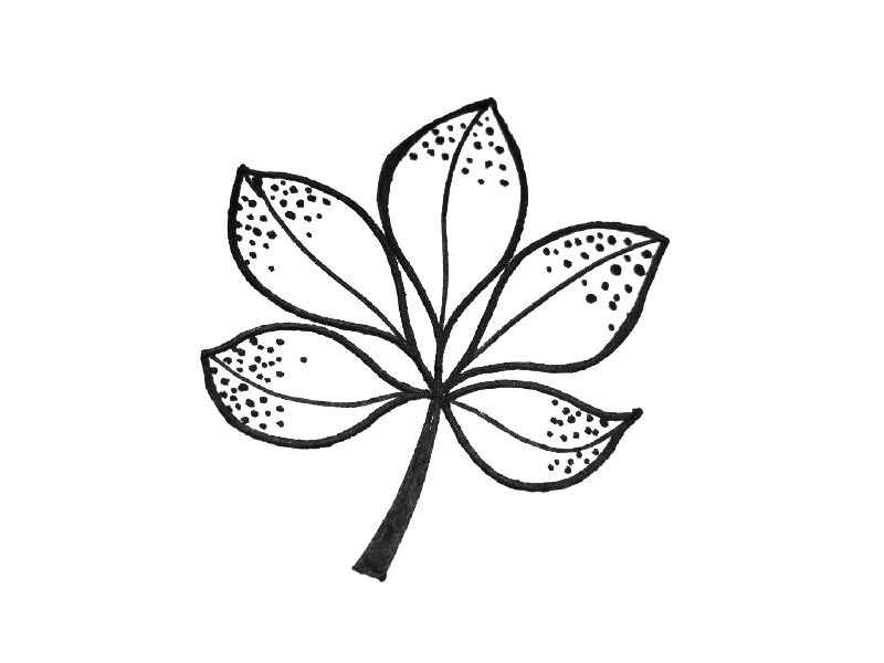 一组可爱的小叶子简笔画图片