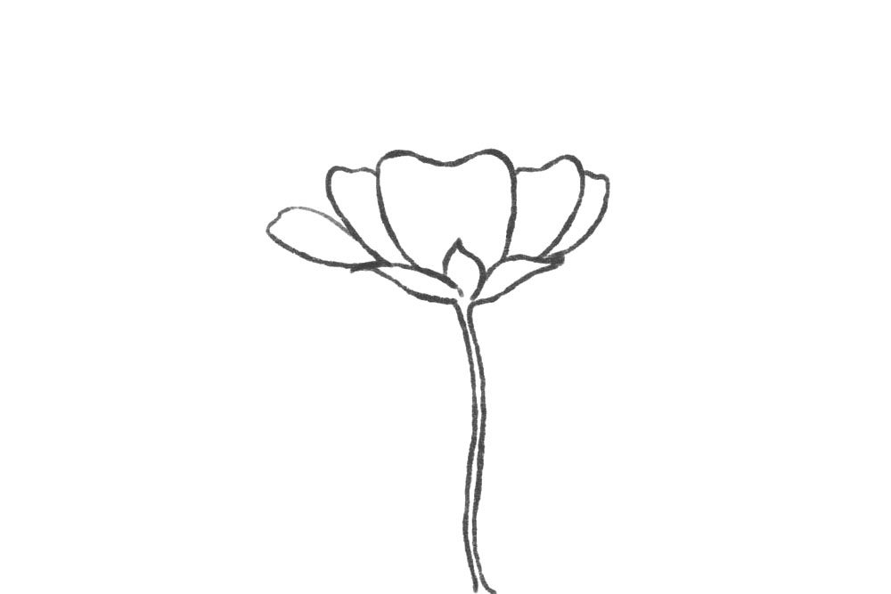 小花仙简笔画画法步骤