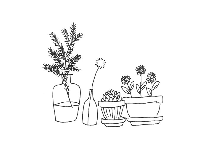 一组漂亮的植物简笔画图片