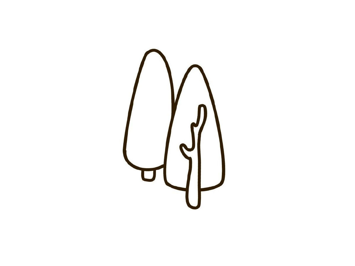 简单小树简笔画画法步骤