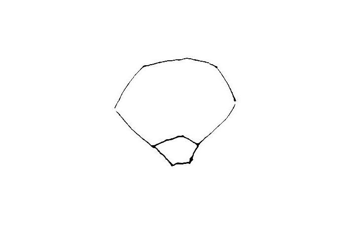 红领巾简笔画画法步骤