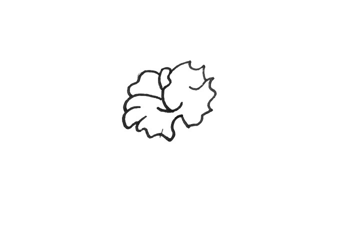 一步一步学画木棉花简笔画