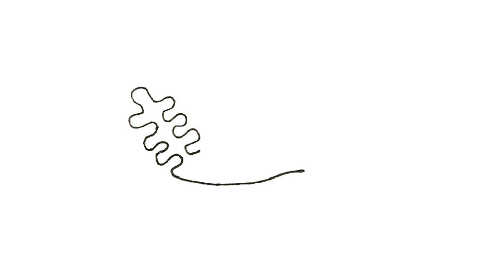 珊瑚简笔画教程