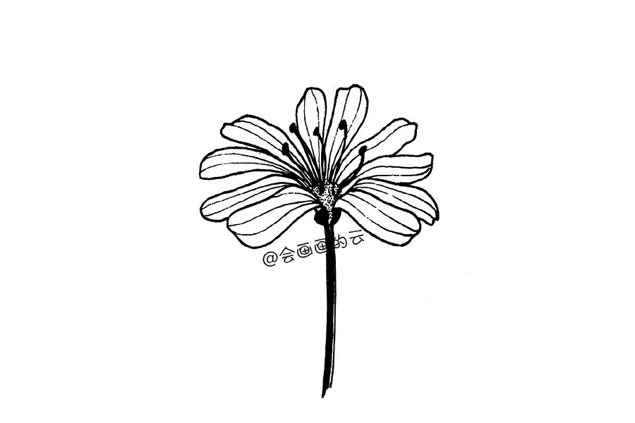 零基础简笔画 一朵漂亮的小花花