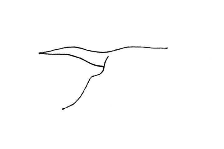 鹤的简笔画画法步骤