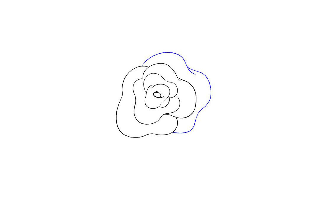 如何画玫瑰花简笔画