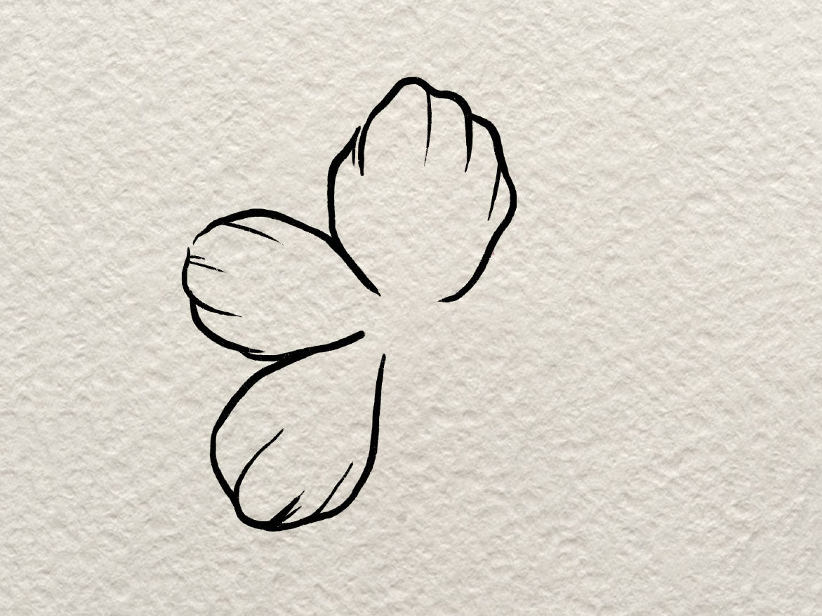 一朵小花花简笔画画法
