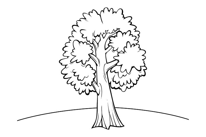 简单好画的树木简笔画