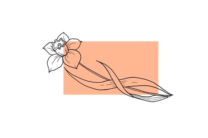 植物花草简笔画10种漂亮的小花简笔画