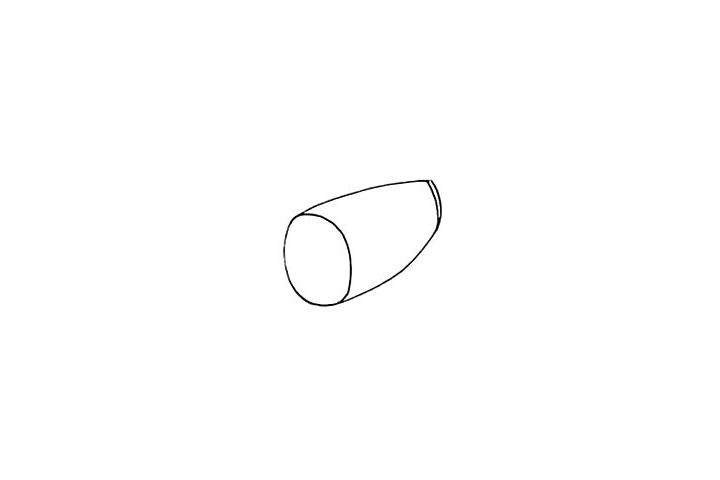 莲藕简笔画画法步骤