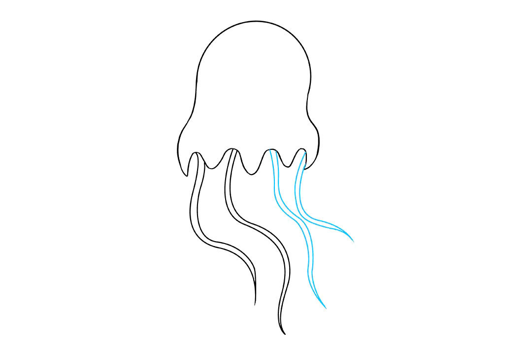 水母怎么画