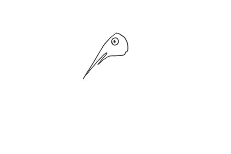 海洋生物剑鱼简笔画画法步骤