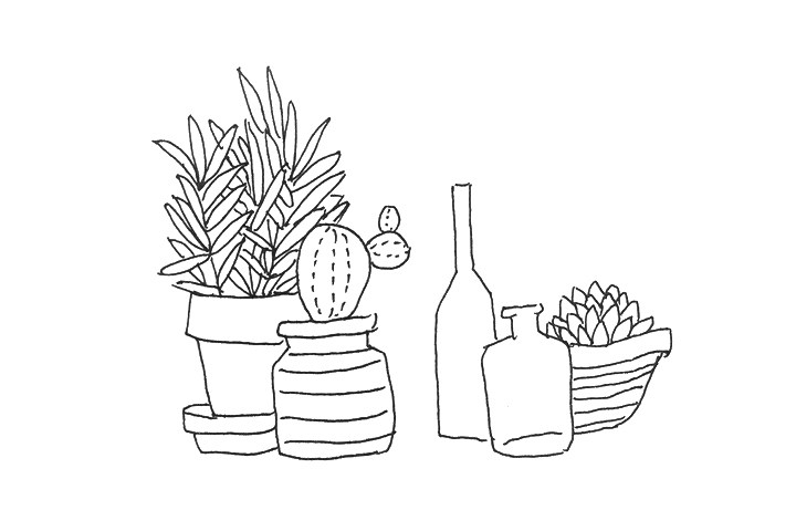 一组漂亮的植物简笔画图片