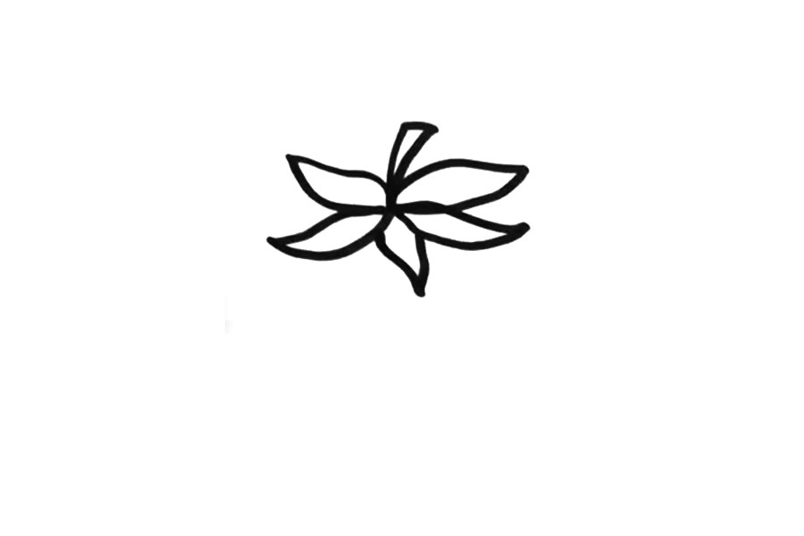 简单可爱的西红柿简笔画画法