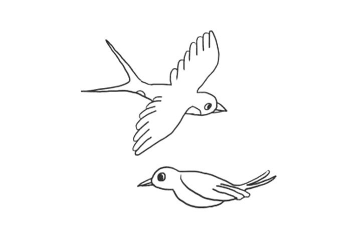 关于小燕子简笔画画法步骤