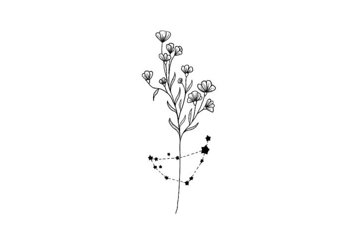 鲜花简笔画之十二星座与鲜花