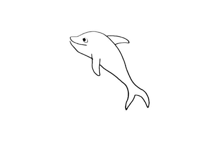 海豚简笔画怎么画