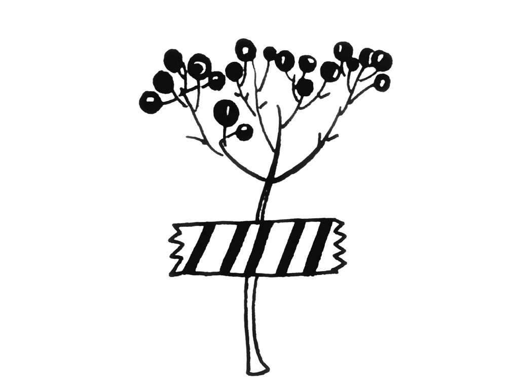 一组小植物简笔画图片