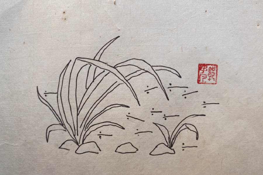 池塘风景简笔画图片