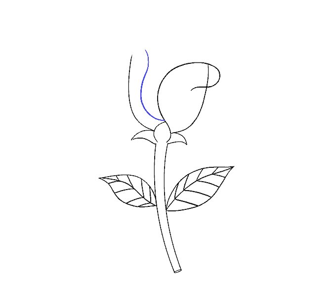 如何画一朵简单的玫瑰花