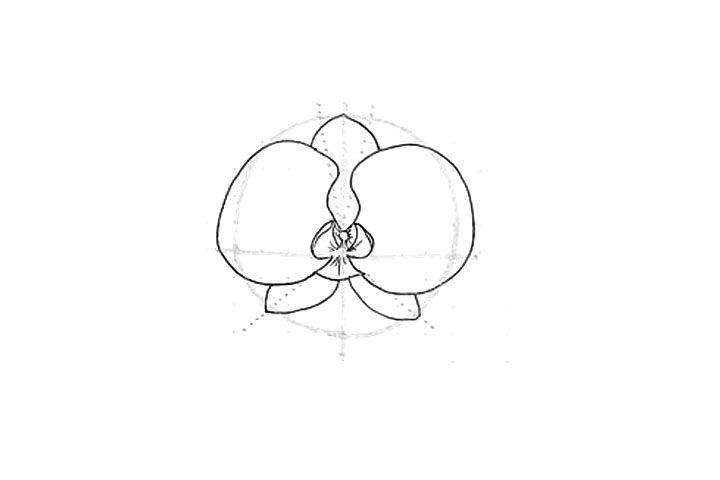 兰花花朵简笔画画法步骤
