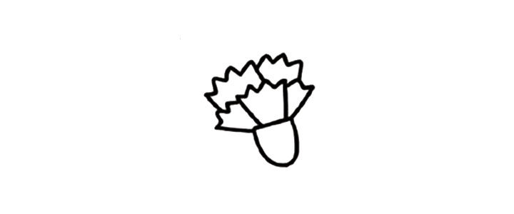 可爱小花康乃馨简笔画教程