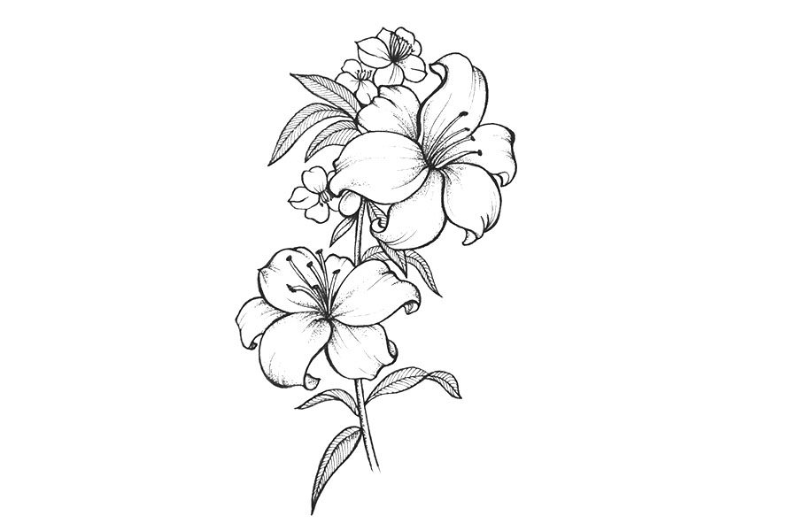 一组漂亮的线描花束简笔画图片
