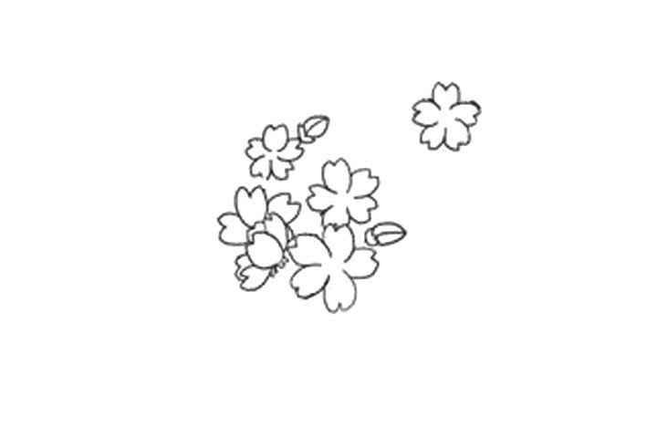 樱花的详细画法图解