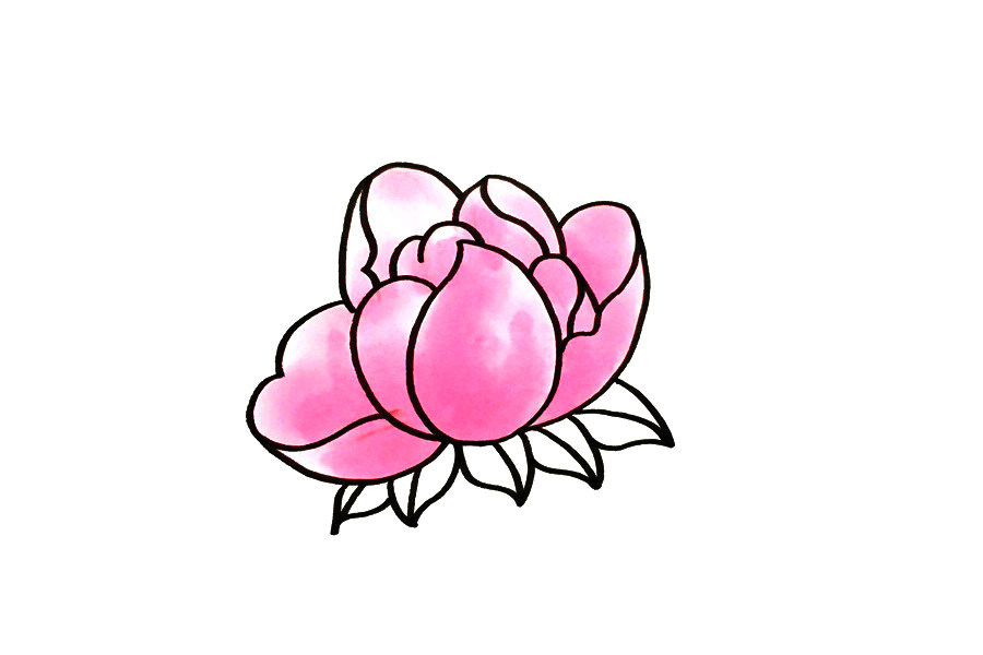 花朵简笔画大全 简笔画芍药的画法步骤
