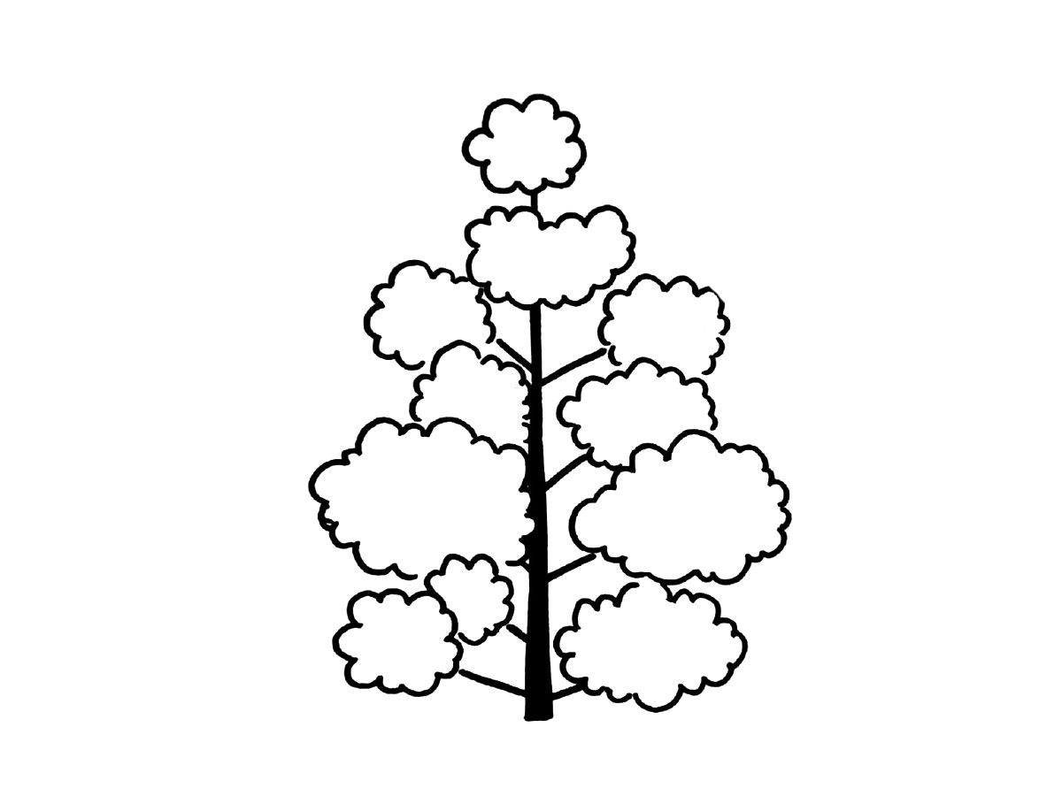 一组萌萌哒的小树简笔画