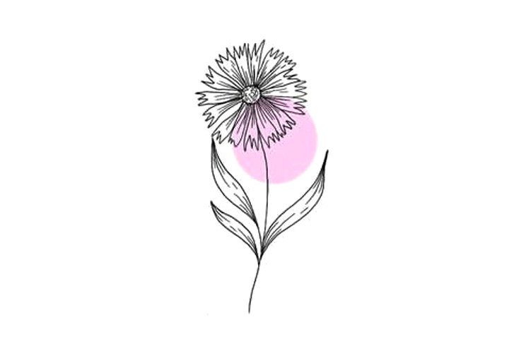 植物花草简笔画漂亮的小花简笔画图片