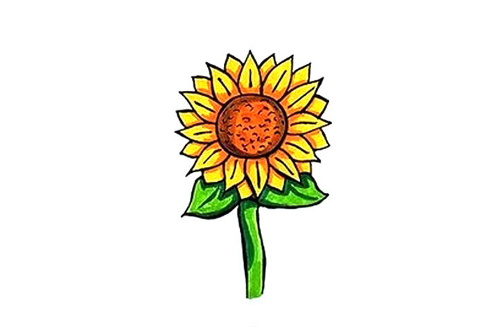 向日葵简笔画画法图解