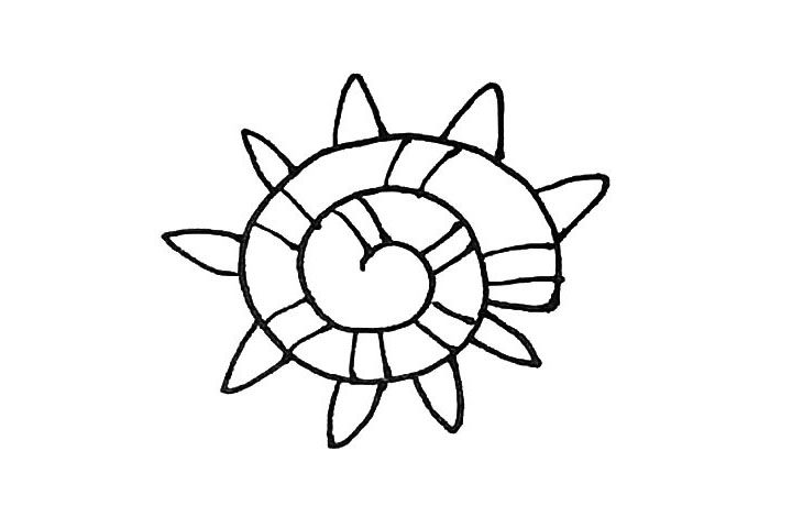 海螺简笔画画法教程