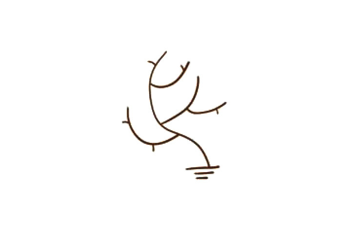 如何画简单的果树简笔画