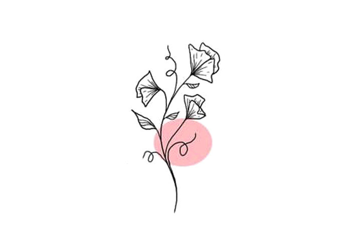 植物花草简笔画10种漂亮的小花简笔画