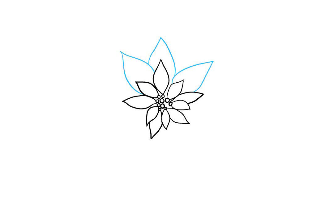 一品红简笔画怎么画