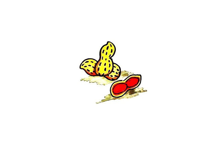 花生简笔画画法步骤