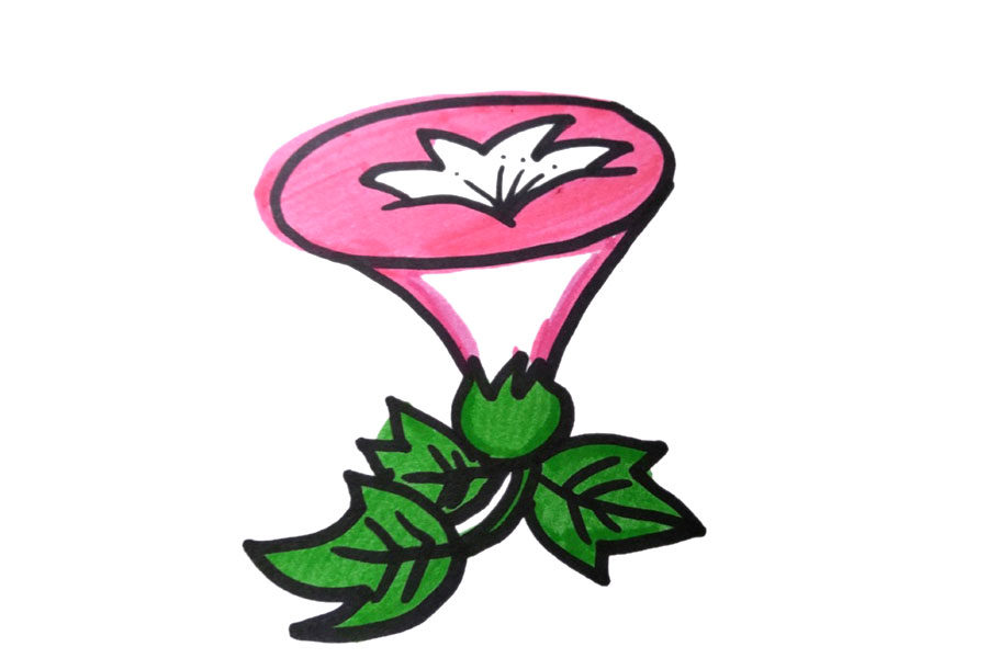 一组漂亮的花花简笔画图片