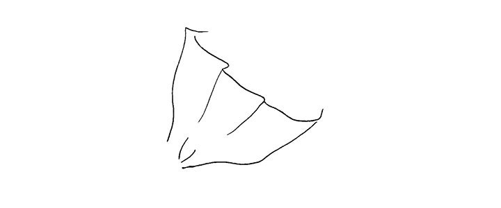一束花简笔画画法详解