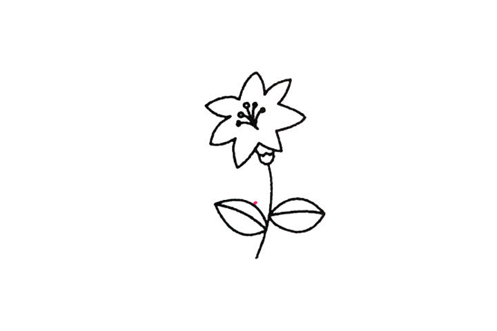 百合花的简笔画画法