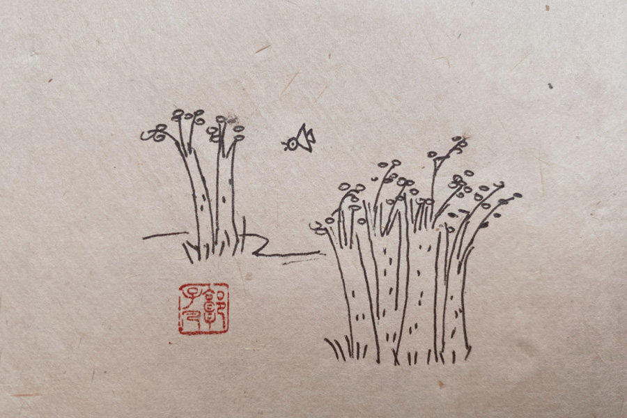 春分主题简笔画