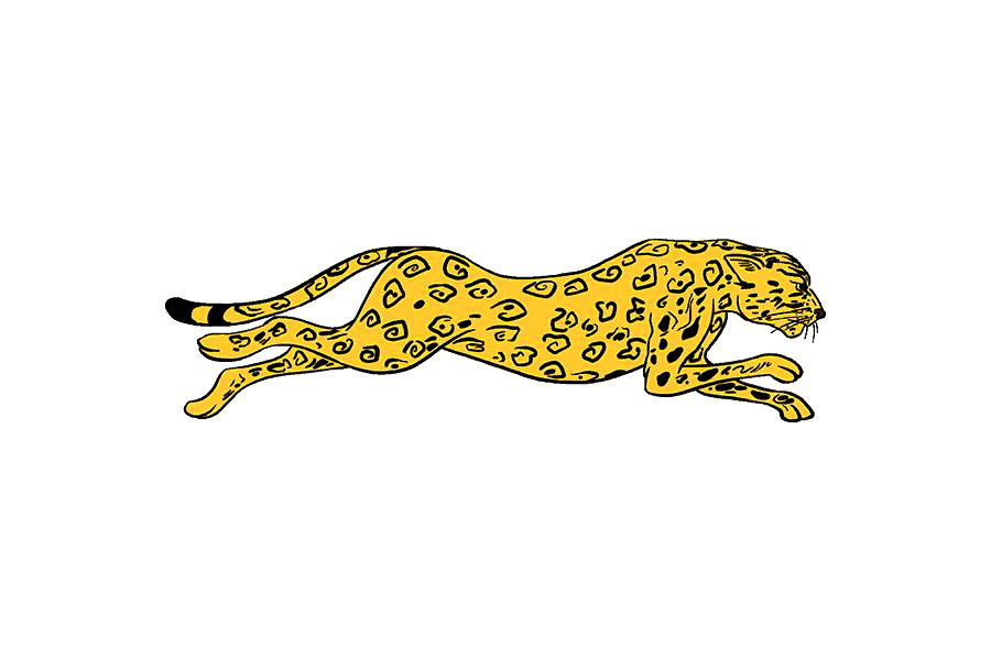 如何画猎豹