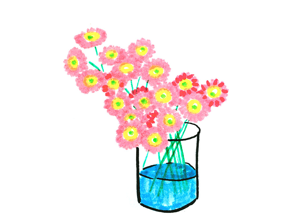一些美丽的花束简笔画图片