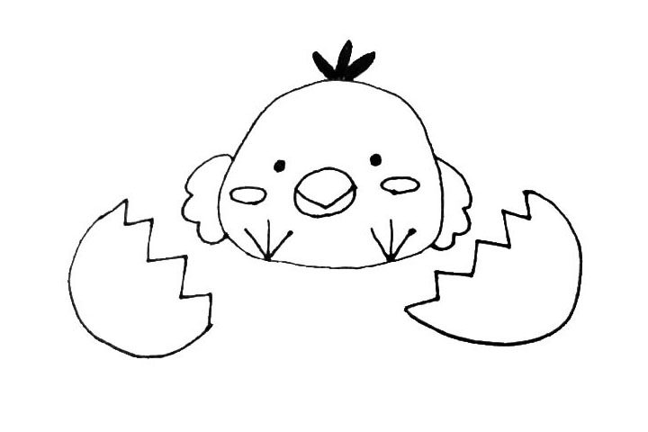 破壳的小鸡简笔画画法步骤