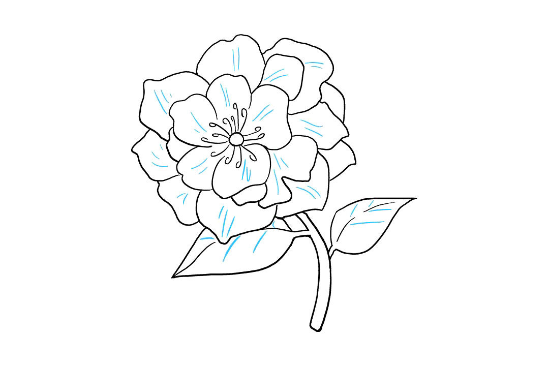 牡丹花怎么画