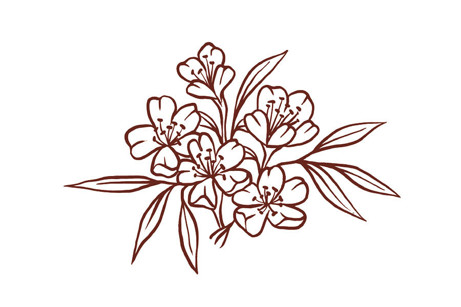 邮寄一份小花花简笔画画法教程