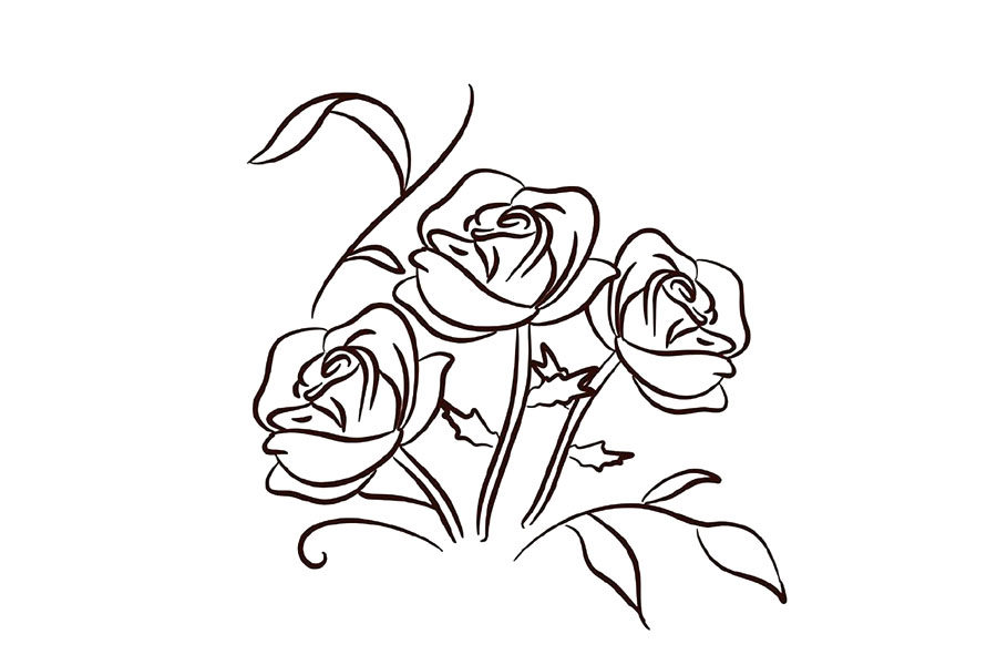 玫瑰花简笔画画法步骤