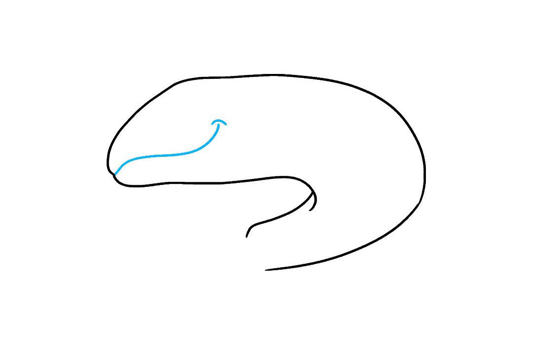 三文鱼怎么画