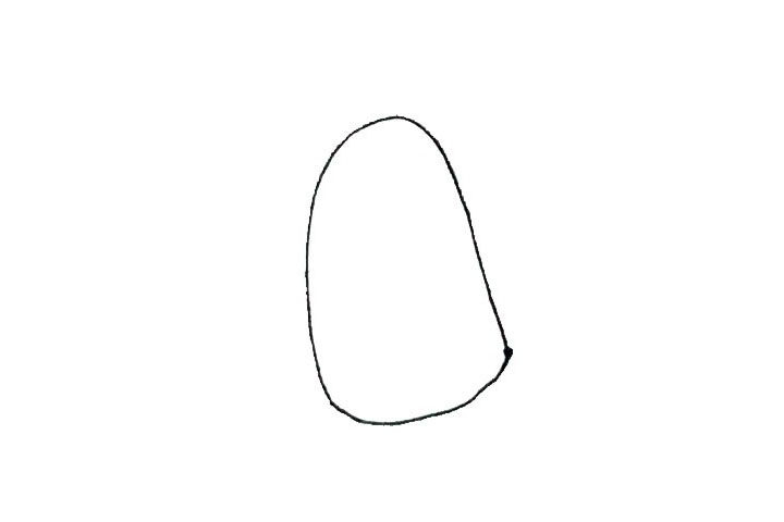 莲藕简笔画画法详解