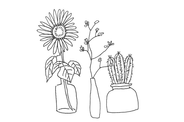 一组漂亮的植物简笔画图片